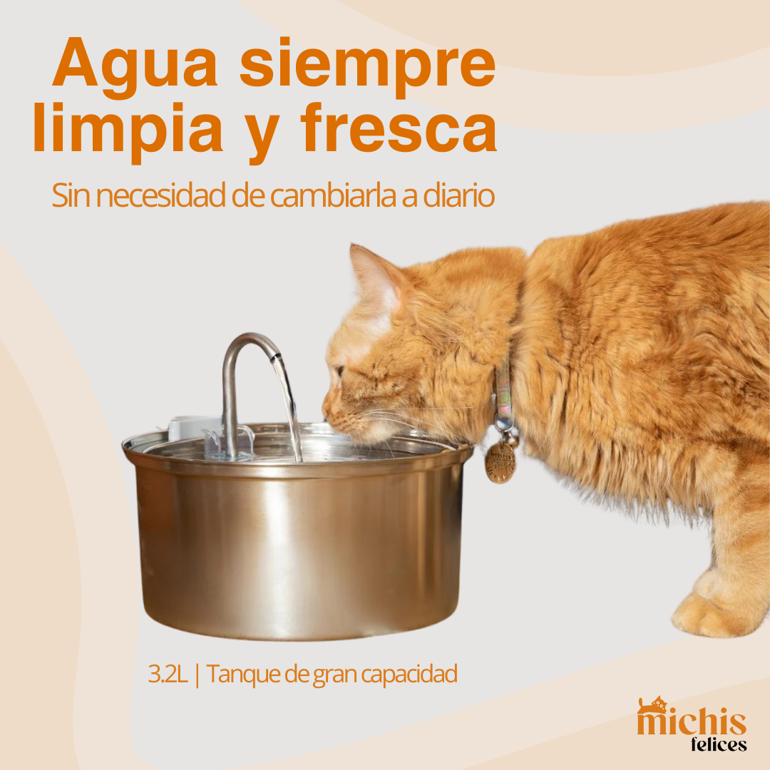 Michi Fuente de Acero Inoxidable